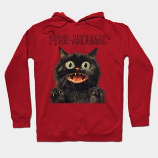 Retro Purr-anormal Cat Design - Whiskered Vintage Kitty Hoodie